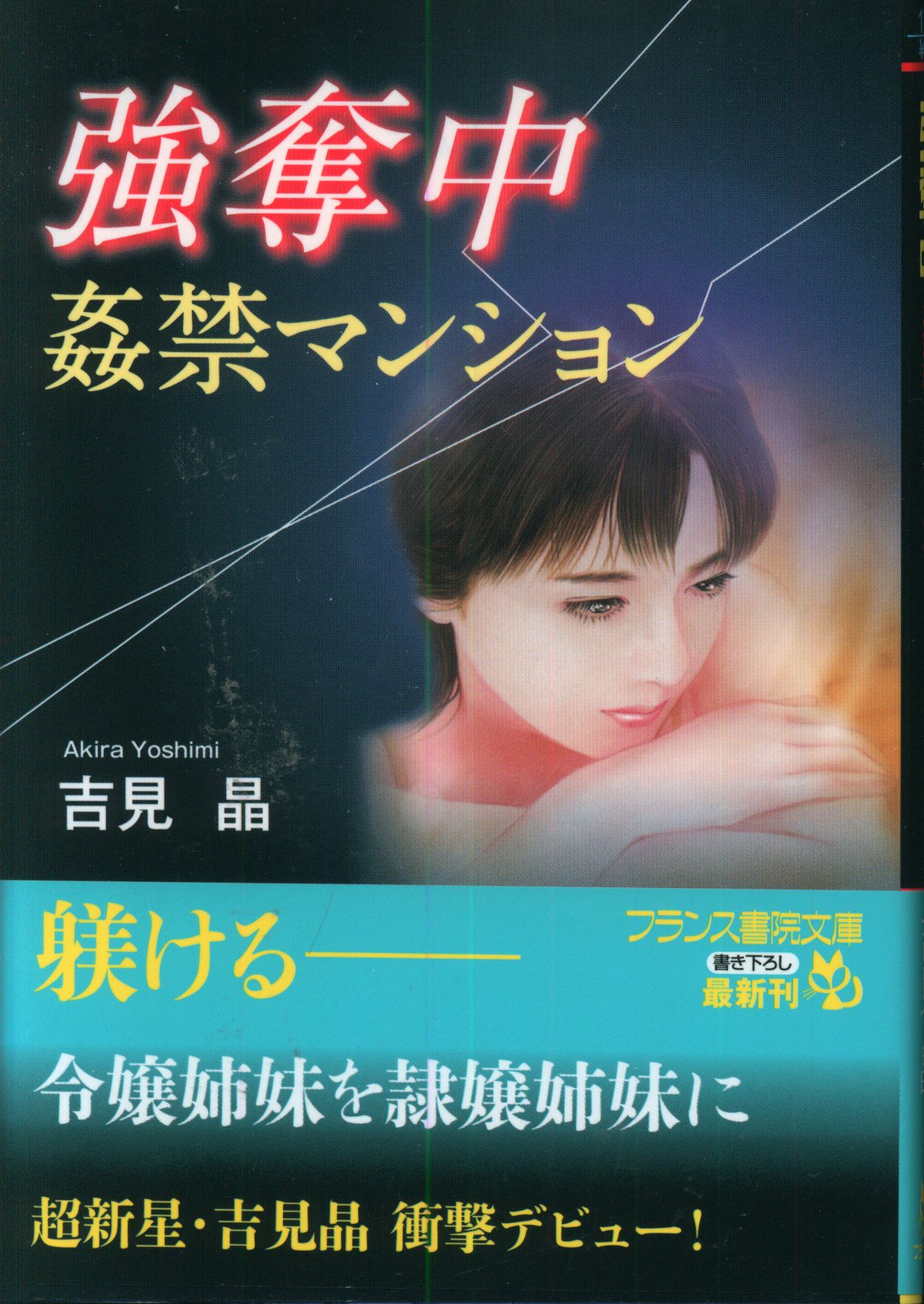 フランス書院 フランス書院文庫 吉見晶 強奪中 姦禁マンション | ありある | まんだらけ MANDARAKE