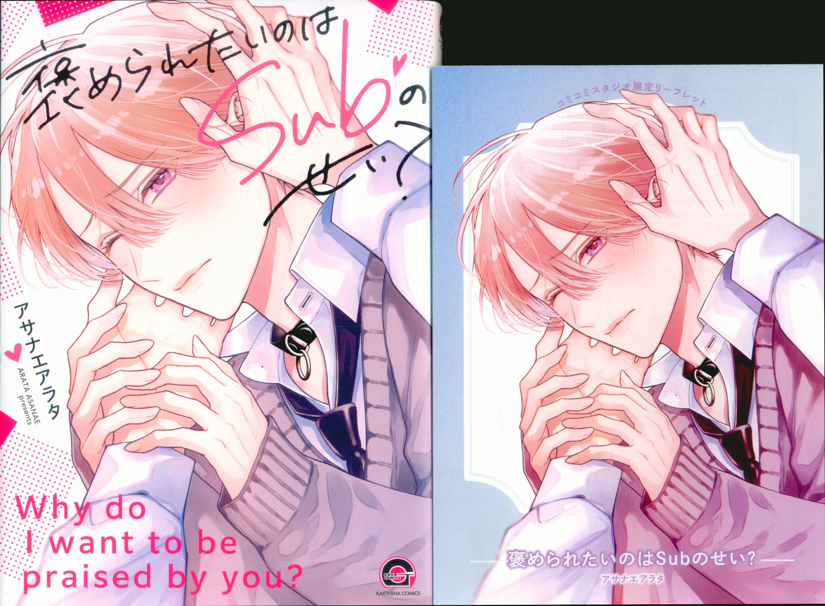 Kaiousha Gash Comics Asana Airata is it because of Sub that you want to be praised? Comic 4P leaflet included