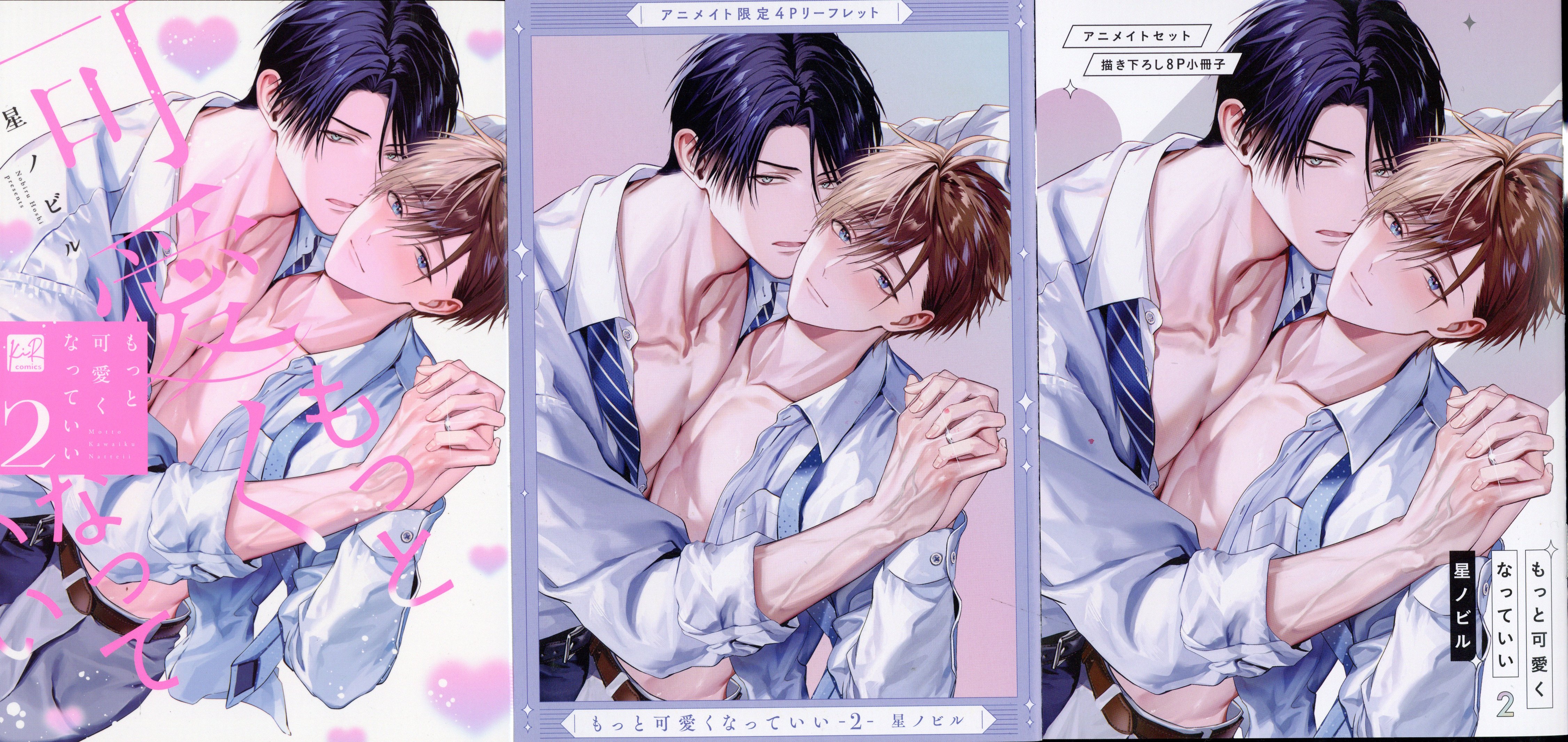 三交社 KiR comics 星ノビル もっと可愛くなっていい アニメイト8P小冊子+4Pリーフレット付 2