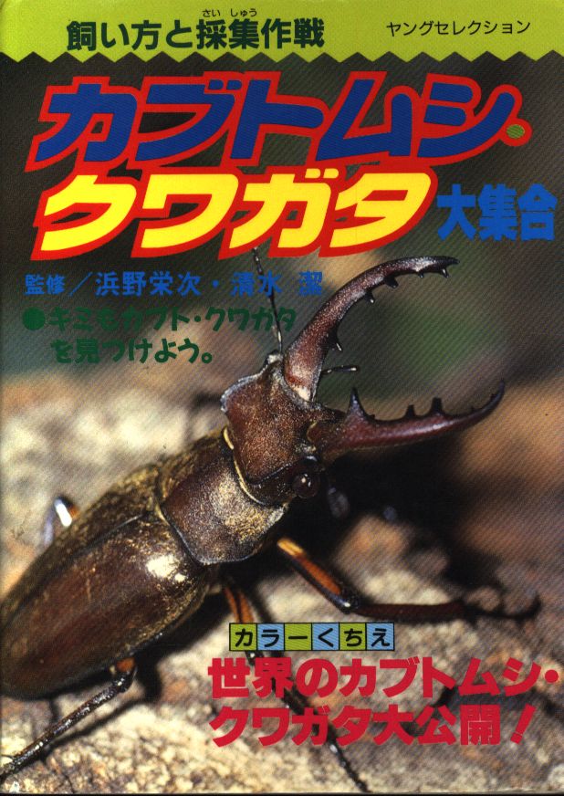 実業之日本社 ヤングセレクション カブトムシ クワガタ大集合 まんだらけ Mandarake