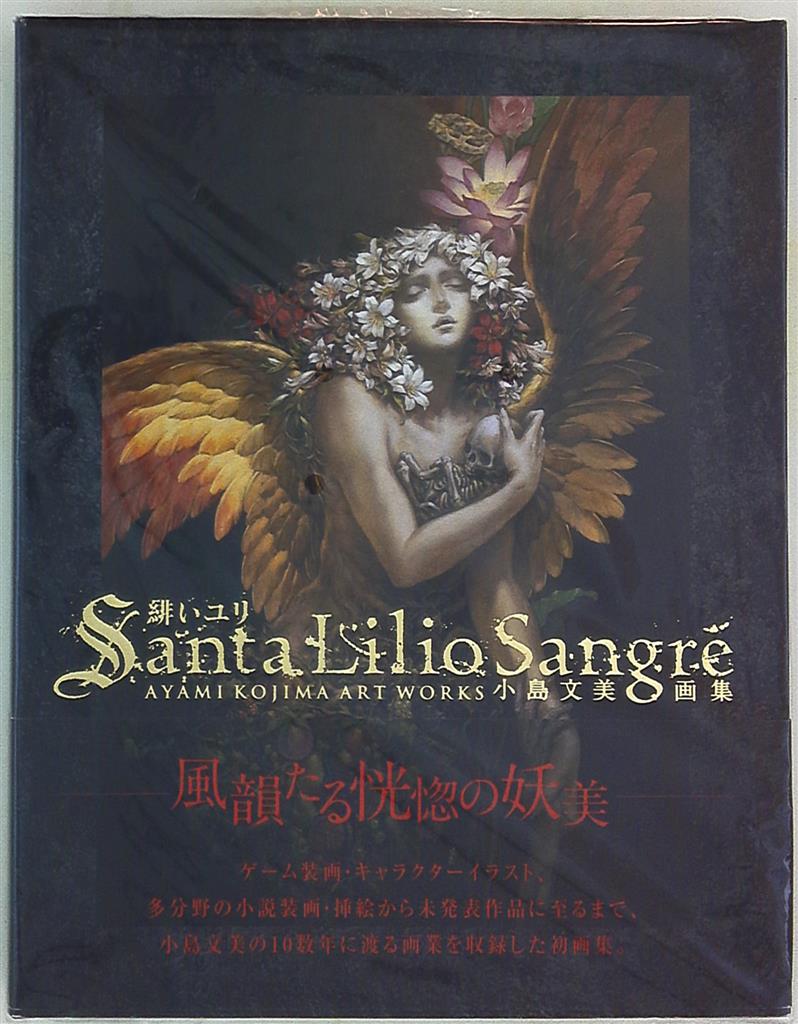 Santa Lilio Sangre緋いユリ : 小島文美画集 - アート