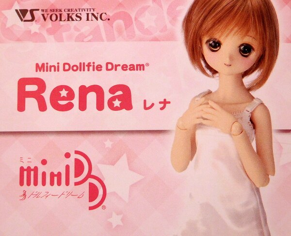 Volks - Dollfie Dream MDD 【Rena】 | Mandarake Online Shop