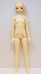 CROBI DOLL M-Line Boy Body | MANDARAKE 在线商店