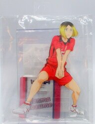 Acrylic Stand 3