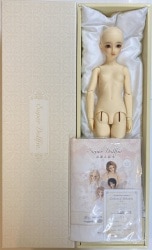 CROBI DOLL M-Line Boy Body | MANDARAKE 在线商店