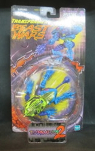 SPITTOR POISON FROG