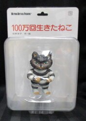 A million times live cat