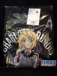 An embroidery parka / infinite Stratos 