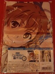 A cushion cover / list of prohibited books   Mirac