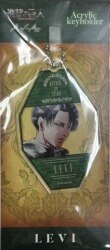 Acrylic Key Holder Art-Pic