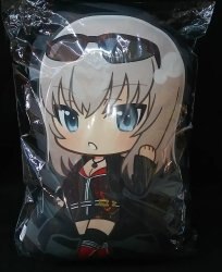 ARIST collaboration Cushion