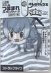 Acrylic strapped strap
