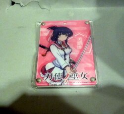 Acrylic pass case