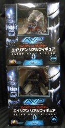 AVP A rear ン Real Figure