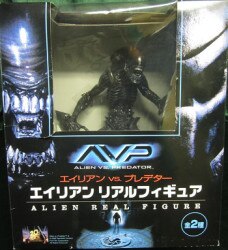 AVP A rear ン Real Figure-premium Ver - 
