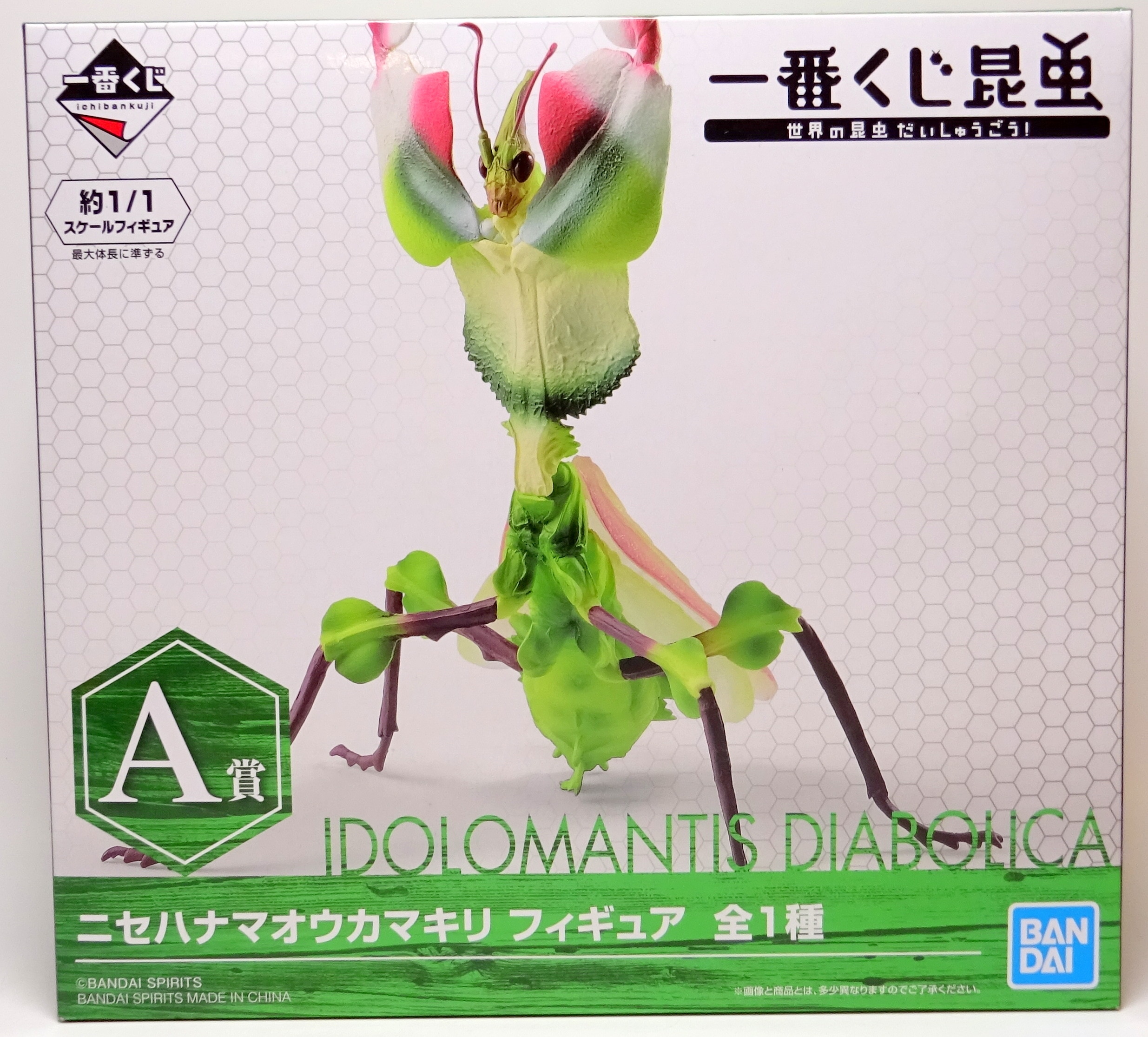 カマキリのフィギュア - 標本用品