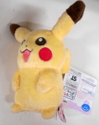 Adults Pokemon
