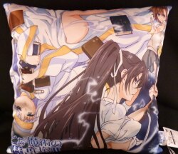 A cushion / list of prohibited books 2 