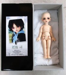 Mandarake | Sapporo - Large Cast Doll (Super Dollfie etc)