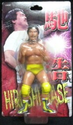 All Japan Wrestling