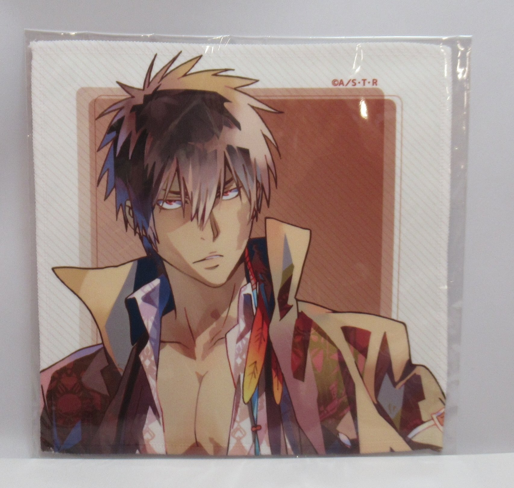 Katekyo Hitman Reborn! Microfiber Xanxus [Especially Illustrated