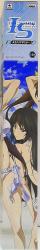 A2 Claer Poster / infinite Stratos