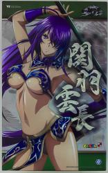 Absolute area CharaGumin / Ikki Tousen (Battle Vix