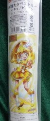 A life-size tapestry / smile プリキュア 
