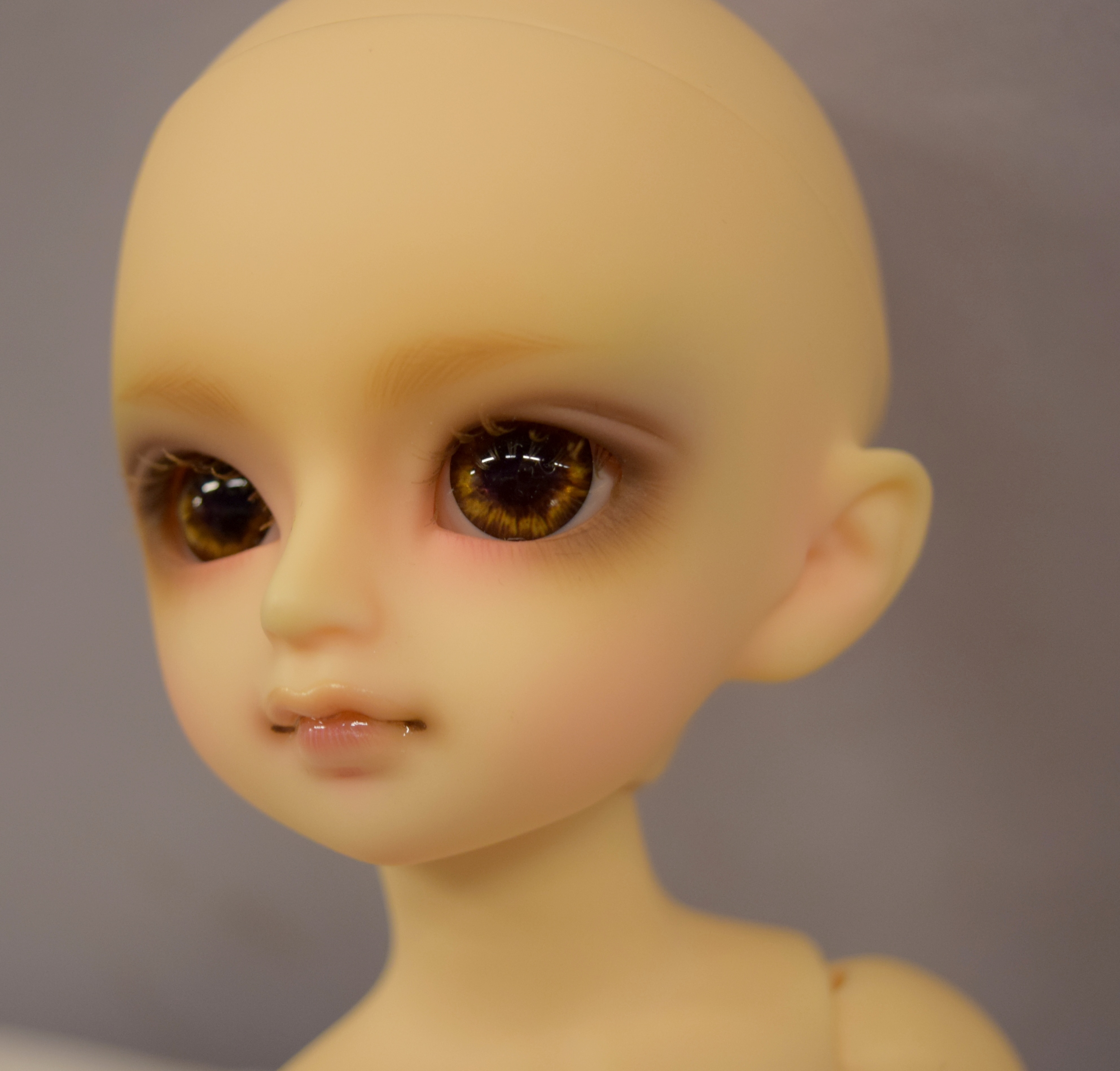 ボークス スーパードルフィー 幼SD 本体 - 人形