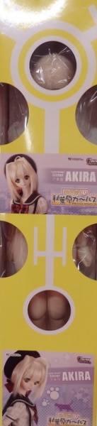 ボークス DDS 放課後秋葉原ガールズ アキラ 1st | まんだらけ Mandarake