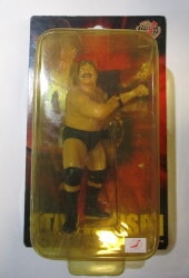 All Japan Pro Wrestling
