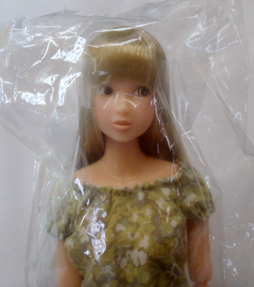 専用CCS-momoko Today's 08SS Cowardly Lion - 人形