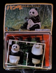Animal book series