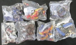アクションアートコレクション