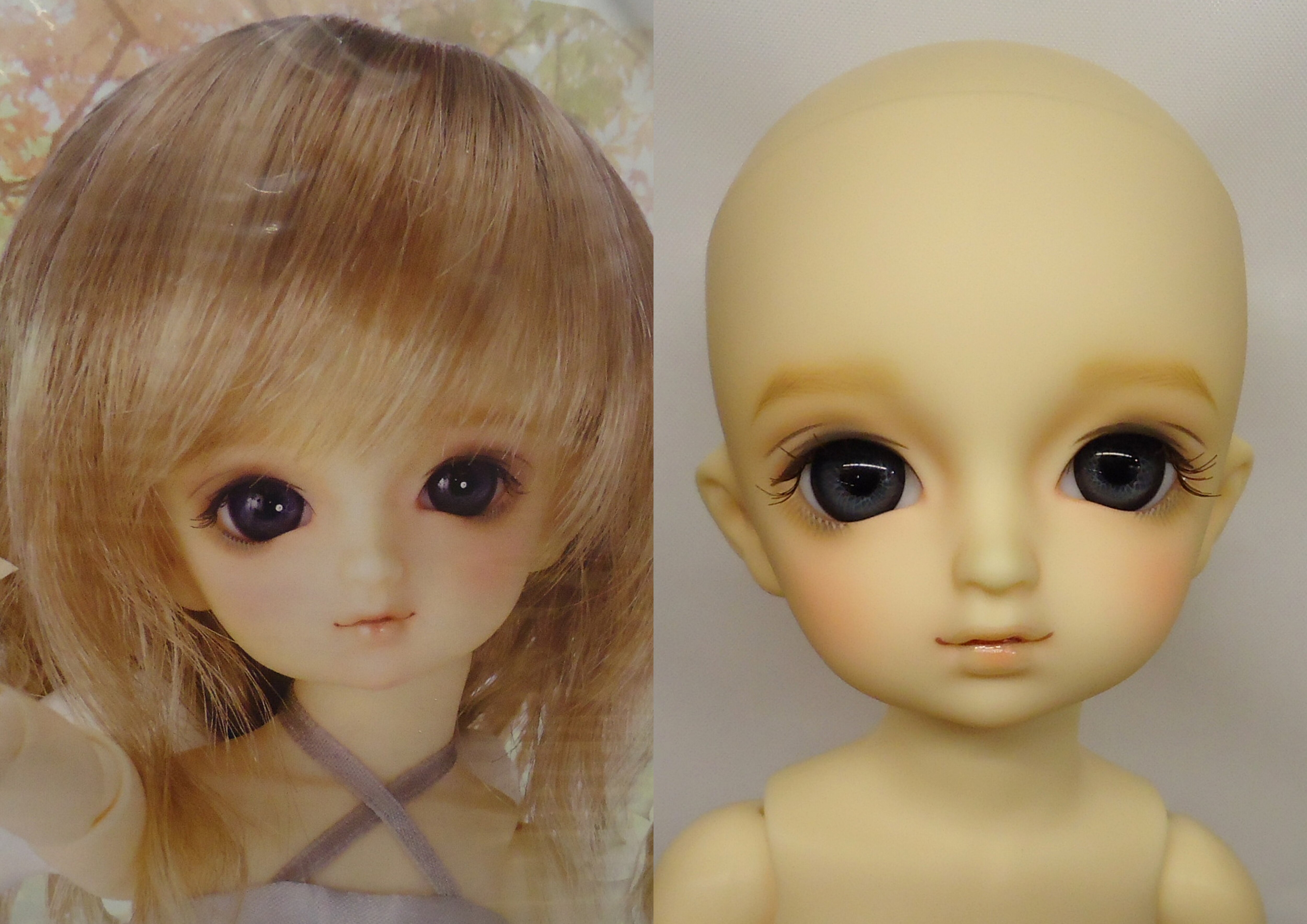 Mandarake bjd store