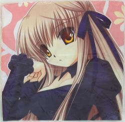 A cushion cover / Rewrite 