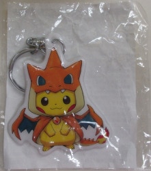 A key case/Pokemon