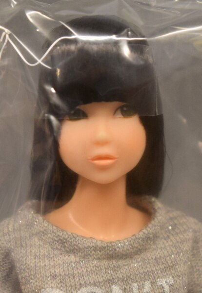 激レア❗CCS-momoko 13SM Home（gr）-