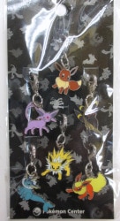 A metal charm / Pokemon 