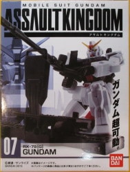 Assault Kingdom 2