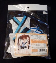 An angel&amp;#039;s clothes 