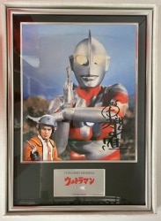 まんだらけ通販 | ウルトラヒーローメモリアル/ウルトラマン