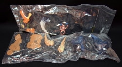 A try cancer maximum / story image figure 