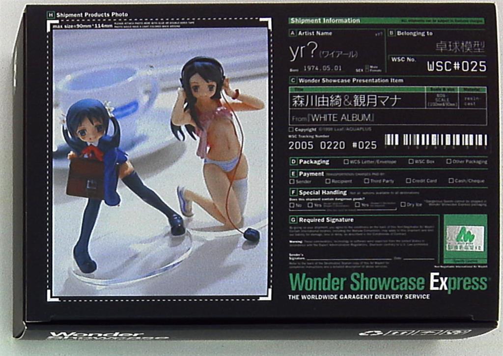 卓球模型 Yr ワイアール 森川由綺 観月マナ ノンスケールキット Wsc025 まんだらけ Mandarake