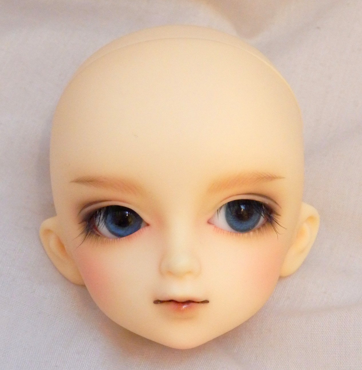 フルチョイス MSD 19番ヘッド すわりっこボディ - メルカリ