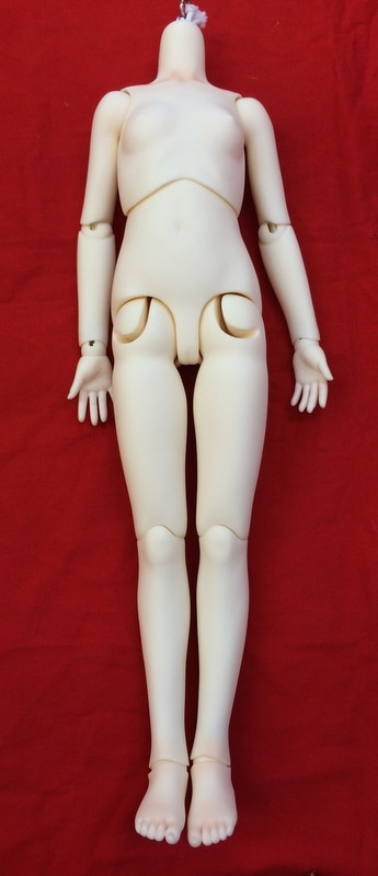 ボークススーパードルフィーSD 女の子ボディすわりっこホワイト肌新品