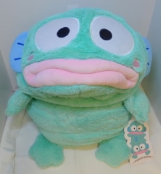 A super big Cushion that can be stuffed