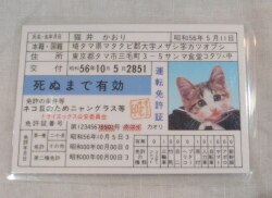まんだらけ通販 なめ猫