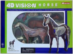 Animal dissection / solid puzzle 4D vision 