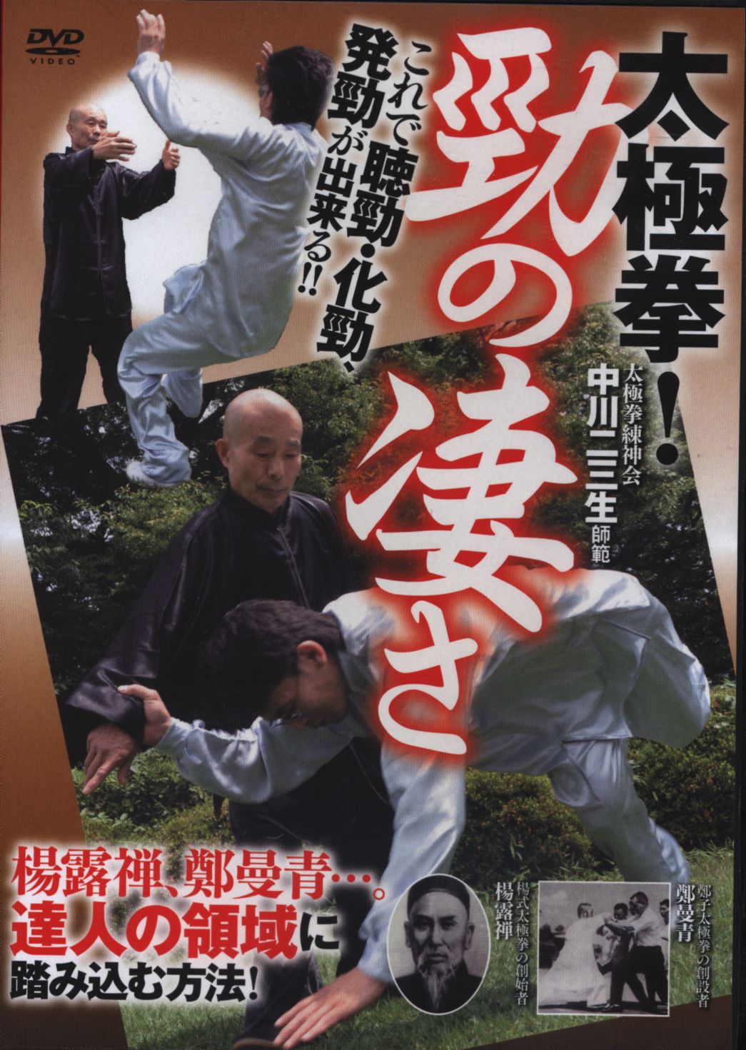 DVD「〜合気の応用〜」発勁 剣術 太極拳 - その他